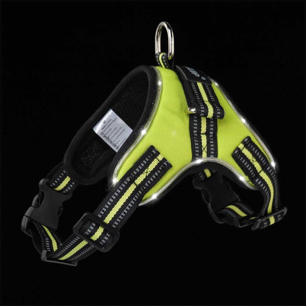 Luminous Canine Collar